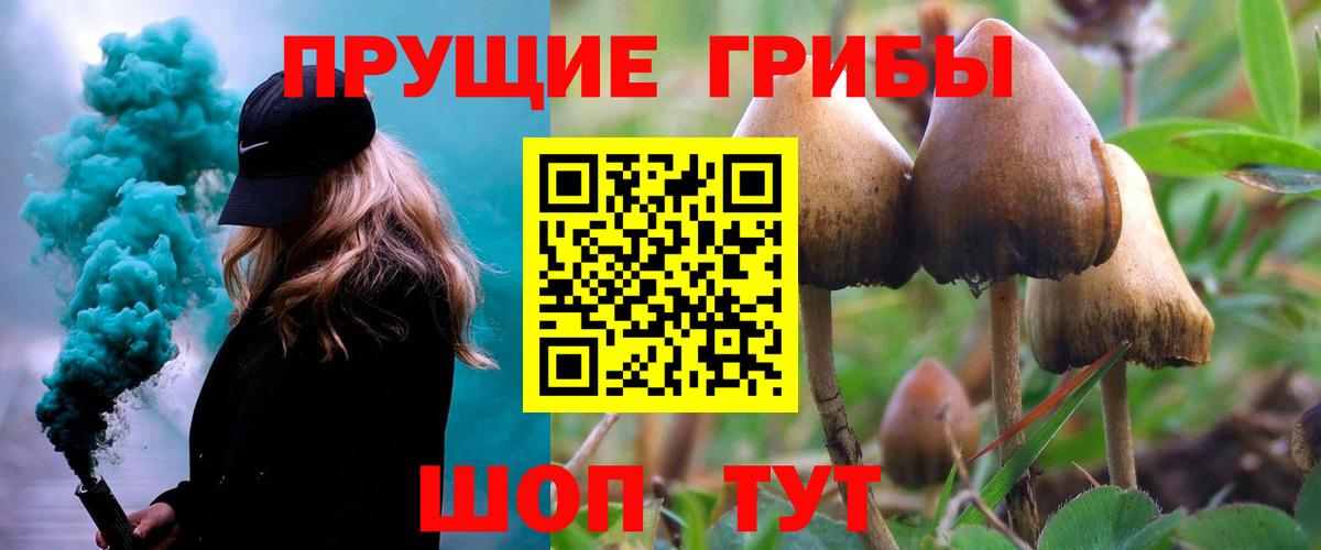 Галлюциногенные грибы Magic Shrooms Асбест
