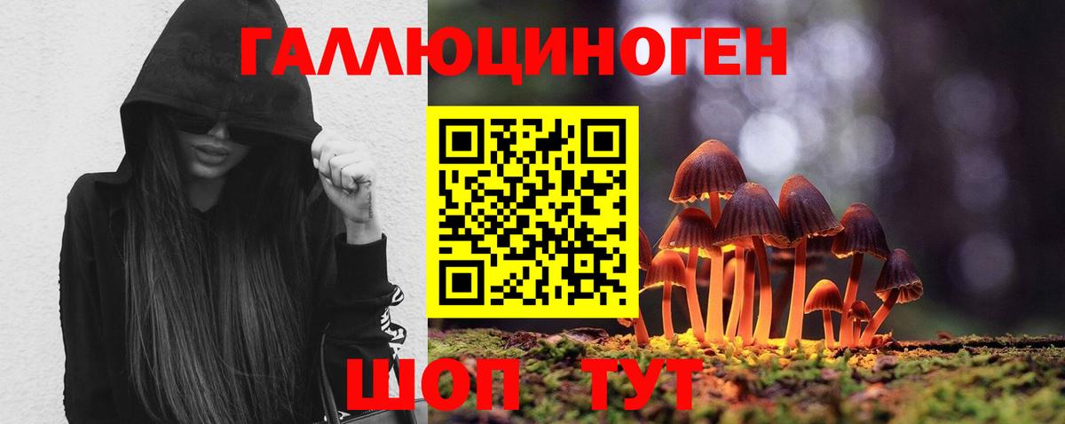 Асбест  Галлюциногенные грибы Cubensis  Вход с VPN 